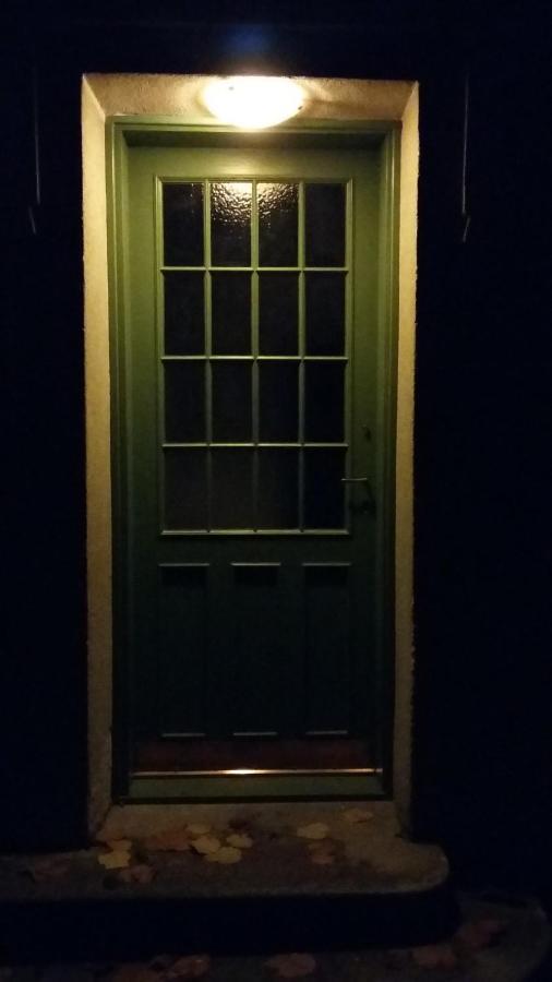 Studio Apartment - Green Door ザグレブ エクステリア 写真
